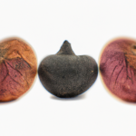 Utilizing Structured Data for Enhanced Visibility: A Game Changer for Google-Ready Articles, professional photography, photorealistic, high quality, 8k resolution, natural lighting, sharp focus, detailed