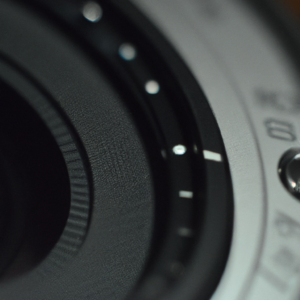 Introduction, professional photography, photorealistic, high quality, 8k resolution, natural lighting, sharp focus, detailed